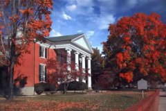 fall foliage at the Courthouse